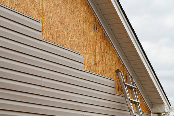 Professional Siding Repair technician working in Henderson, TN